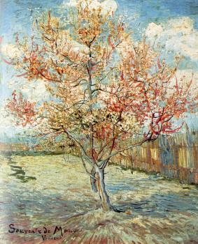 Vincent Van Gogh : Pink Peach Tress
